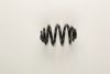 BMW 1095163 Coil Spring